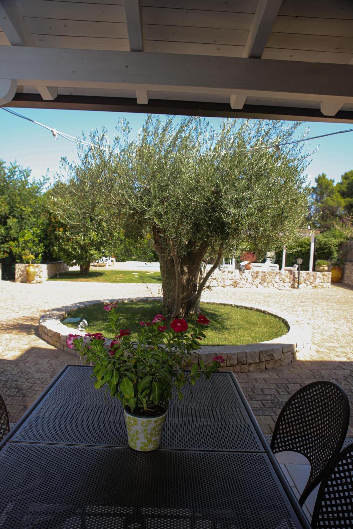 Villa Arisa With Pool Selva Di Fasano Bagian luar foto